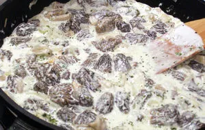 Страви з зморшків що можна зробити з грибами зморшками, грибний сайт (можна) Страви з зморшків що можна зробити з грибами зморшками, грибний сайт