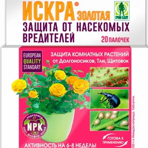 Хвороби і шкідники троянд фото, опис і боротьба з ними, якими засобами можна обробляти (хвороби) Хвороби і шкідники троянд фото, опис і боротьба з ними, якими засобами можна обробляти
