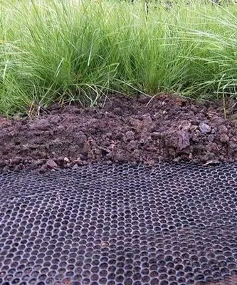 Боротьба з кротами на ділянці, пастка для крота виконана своїми руками (своїми) Боротьба з кротами на ділянці, пастка для крота виконана своїми руками