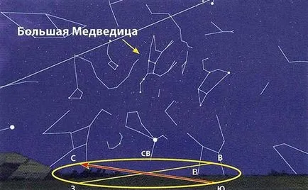 Велика Ведмедиця