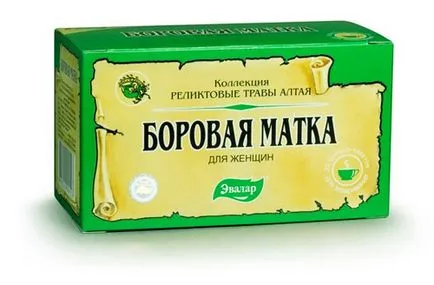 Борова матка (ортилия однобока) як виглядає, де росте вУкаіни, властивості настойки трави,