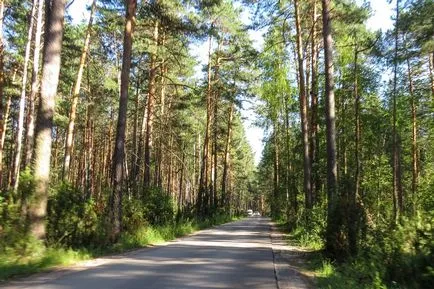 Велике святе озеро - ще одне місце, покрите легендами, дорога довжиною в життя (святе) Велике святе озеро - ще одне місце, покрите легендами, дорога довжиною в життя