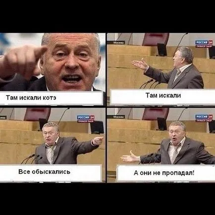 Блогосфера про втрачений кота Медведєва (фото, відео), аді - новини Хакасії (втрачений) Блогосфера про втрачений кота Медведєва (фото, відео), аді - новини Хакасії