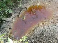 Бункеровози чи здатна сучасна техніка забезпечити чистоту міст (міст) Бункеровози чи здатна сучасна техніка забезпечити чистоту міст