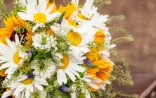 Букет з гладіолусів секрети створення і догляду (букет) Букет з гладіолусів секрети створення і догляду