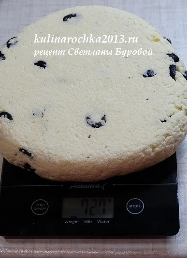бринза домашня