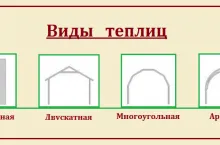 Чим парник відрізняється від теплиці і що краще для вирощування різних культур (відрізняється) Чим парник відрізняється від теплиці і що краще для вирощування різних культур