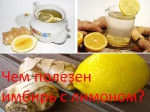 Чим корисний імбир з лимоном, мій знахар (кошти з лимона) Чим корисний імбир з лимоном, мій знахар