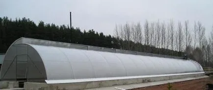 Чим парник відрізняється від теплиці і що краще для вирощування різних культур (теплиці) Чим парник відрізняється від теплиці і що краще для вирощування різних культур