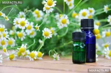 Чим корисно і як застосовувати масло ромашки для обличчя