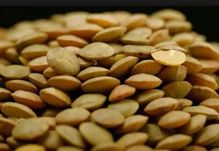 Чим корисна сочевиця для організму хімічний склад, ги, калорійність (сочевиця корисні властивості) Чим корисна сочевиця для організму хімічний склад, ги, калорійність