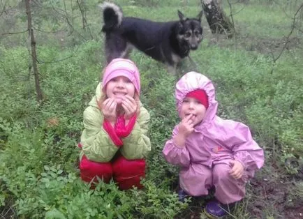Чим зайняти дитину влітку в місті кращі ідеї для дітей (влітку) Чим зайняти дитину влітку в місті кращі ідеї для дітей