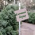 Що робити, якщо в квартирі холодно (критично низька температура) Що робити, якщо в квартирі холодно