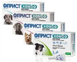 Що робити, якщо кішка мстить господареві