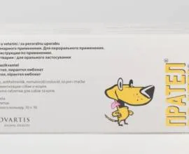 Що робити, якщо кішка мстить господареві