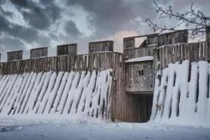 Що робити з квіткою від матрони московської улюблені квіти матрони московської (улюблені) Що робити з квіткою від матрони московської улюблені квіти матрони московської
