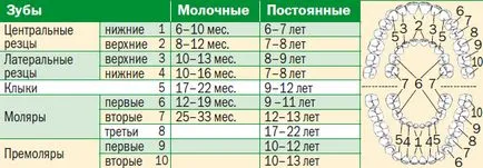 Що робити, якщо зуби не ростуть, питання-відповідь, аргументи і факти (зуби) Що робити, якщо зуби не ростуть, питання-відповідь, аргументи і факти