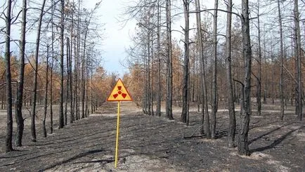 Чорнобиль до і після аварії