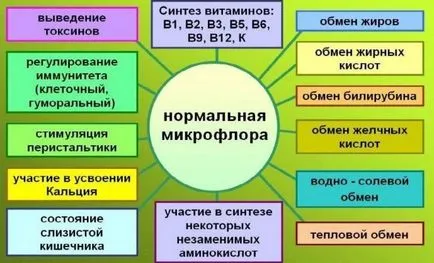 Чорнослив при запорах як вживати, користь для кишечника (користь) Чорнослив при запорах як вживати, користь для кишечника