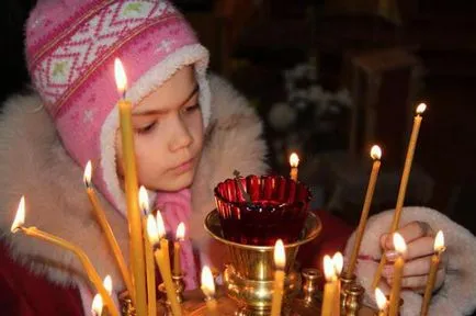 Що робити з квіткою від матрони московської улюблені квіти матрони московської (квіти) Що робити з квіткою від матрони московської улюблені квіти матрони московської