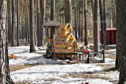 Що робити, якщо померла собака або кішка (кладовище для тварин Запоріжжя) Що робити, якщо померла собака або кішка