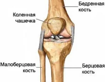 Що робити якщо вилетіло коліно, причини вискакування коліна з суглоба (суглоба) Що робити якщо вилетіло коліно, причини вискакування коліна з суглоба