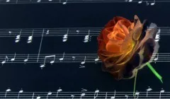Що, згідно з приказкою, підходить Савці