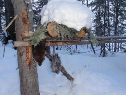 Що таке приманка для риби на сайті (таке) Що таке приманка для риби на сайті