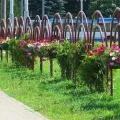Квітники та клумби
