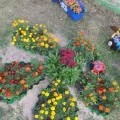 Квітники та клумби
