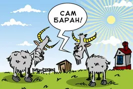 Цитати і афоризми, образа
