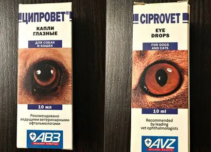 Ціпровет для собак опис, інструкція і застосування, все про собак (застосування) Ціпровет для собак опис, інструкція і застосування, все про собак