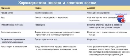 Що таке некроз морфологія некрозу (некрозу) Що таке некроз морфологія некрозу