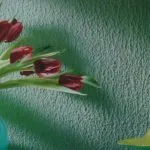 Декоративні штукатурки з кам'яною крихтою - 30 фото в інтер'єрі (штукатурки) Декоративні штукатурки з кам'яною крихтою - 30 фото в інтер'єрі