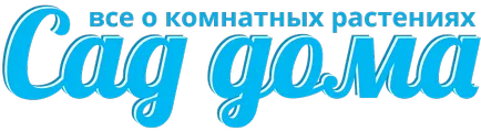 Дармера щитовидна прикрасить ваш сад, слідуючи цим правилам посадки і догляду за рослиною (дармера щитовидна зимостійкість) Дармера щитовидна прикрасить ваш сад, слідуючи цим правилам посадки і догляду за рослиною