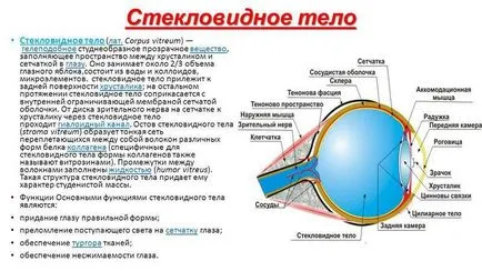 Деструкція склоподібного тіла ока - симптоми і лікування (деструкція) Деструкція склоподібного тіла ока - симптоми і лікування