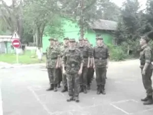 Димарі сендвіч - цікаві факти