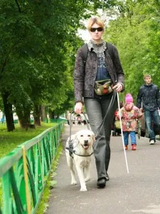 Домашня тварина напрокат - ідея бізнесу (ідея) Домашня тварина напрокат - ідея бізнесу