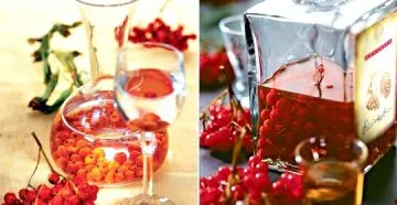 Домашні наливки своїми руками - безліч кращих рецептів! (Домашні) Домашні наливки своїми руками - безліч кращих рецептів!