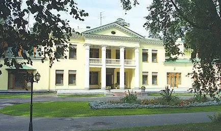 Будинки зірок на Рубльовці