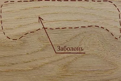 Природні пороки деревини (фото, опис) (деревини) Природні пороки деревини (фото, опис)