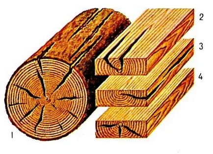 Природні пороки деревини (фото, опис) (круглих лісоматеріалів пиломатеріалів) Природні пороки деревини (фото, опис)