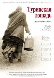 фестивальне кіно