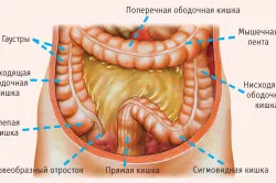 Фолікулярний Бульби причини, симптоми і лікування (причини) Фолікулярний Бульби причини, симптоми і лікування