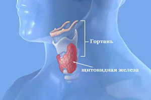Фокальні зміни щитовидної залози (щитовидної) Фокальні зміни щитовидної залози