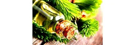 Флорента природний антибіотик широкої дії (широкого) Флорента природний антибіотик широкої дії