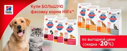 Felidae cat - kitten (феліде для кішок і кошенят), інтернет-зоомагазин (доставка корму) Felidae cat - kitten (феліде для кішок і кошенят), інтернет-зоомагазин