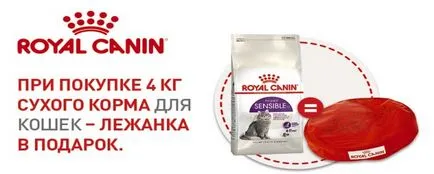 Felidae cat - kitten (феліде для кішок і кошенят), інтернет-зоомагазин (вітамін збагачений вітаміном) Felidae cat - kitten (феліде для кішок і кошенят), інтернет-зоомагазин