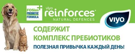 Felidae cat - kitten (феліде для кішок і кошенят), інтернет-зоомагазин (вітамін збагачений вітаміном) Felidae cat - kitten (феліде для кішок і кошенят), інтернет-зоомагазин