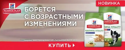 Felidae cat - kitten (феліде для кішок і кошенят), інтернет-зоомагазин (вітамін збагачений вітаміном) Felidae cat - kitten (феліде для кішок і кошенят), інтернет-зоомагазин